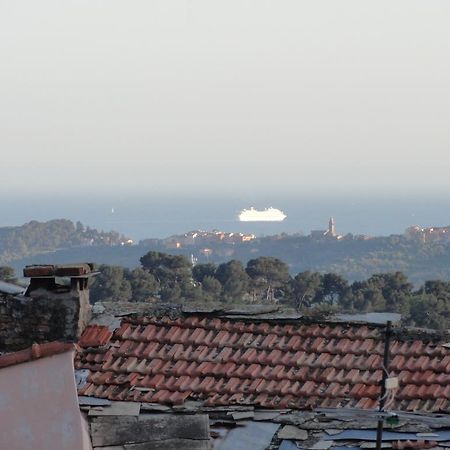 Il Merlo Della Rocca Villa Imperia Rom bilde